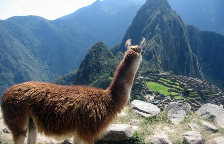 Peru: aukso ir kraujo imperija