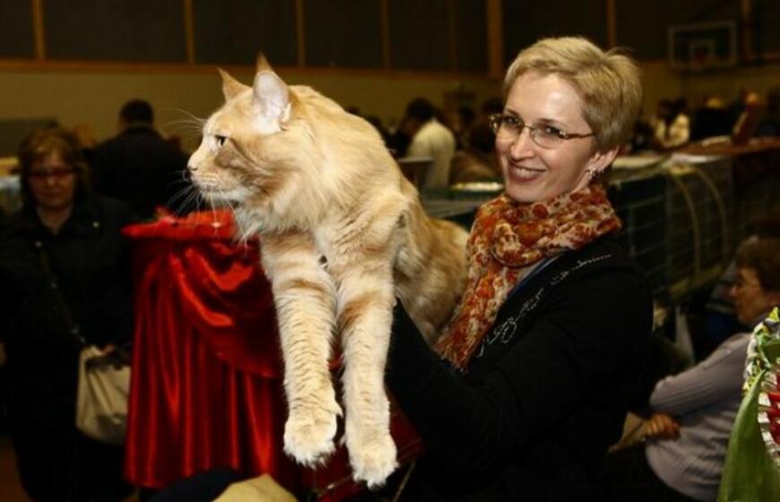 Kačių paroda Klaipėdoje