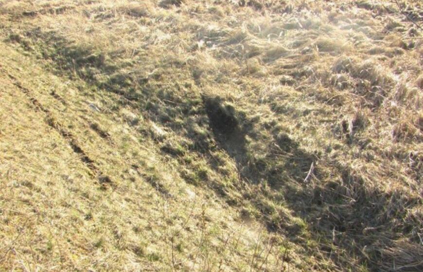 Pareigūno treniruotė baigėsi griovyje