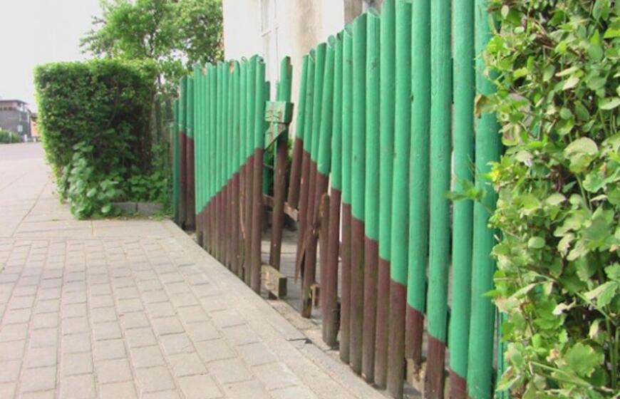 Užstrigus greičio pedalui, prispaudė savo mamą