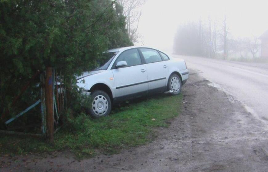 Įmantriame posūkyje jauna mama vartė tujas