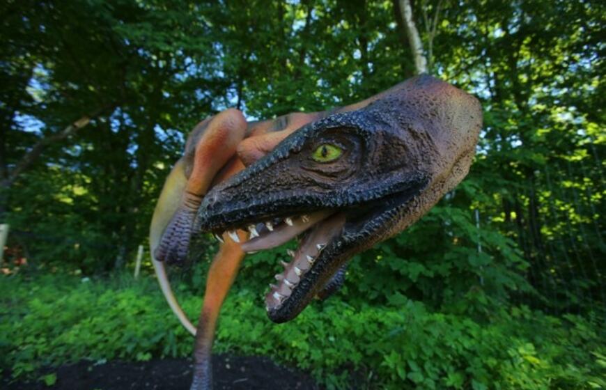 Radailiuose atidarytas dinozaurų parkas