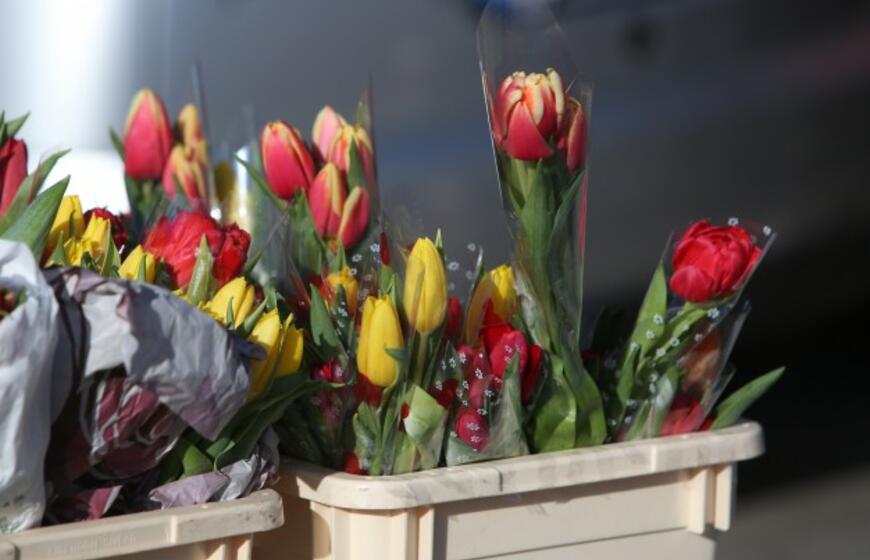 Kovo 8-oji Klaipėdoje