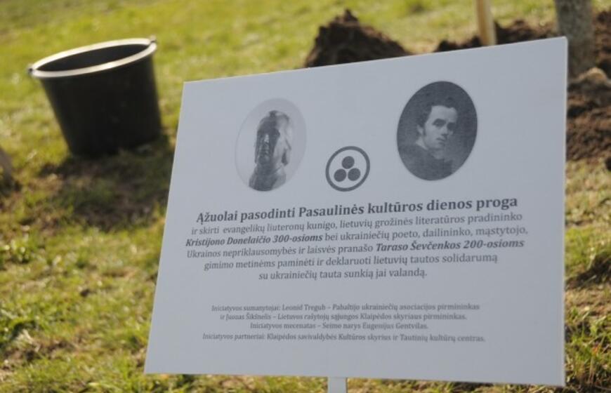 Sąjūdžio parke pasodinti ąžuoliukai