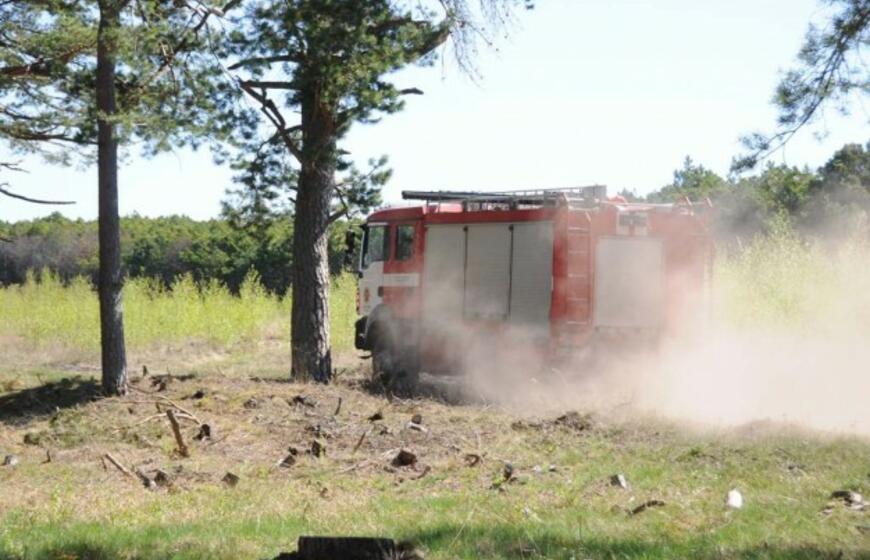 Gaisras Kuršių nerijoje: antroji diena