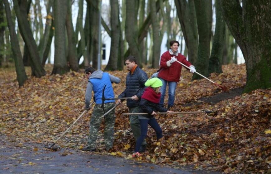 Lapų grėbimo talka