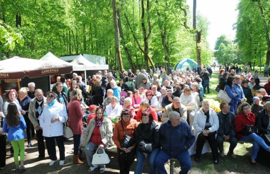 Vestuvių muzikantų festivalis