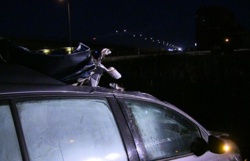 Prie Jakų žiedo automobilis užmušė du briedžius