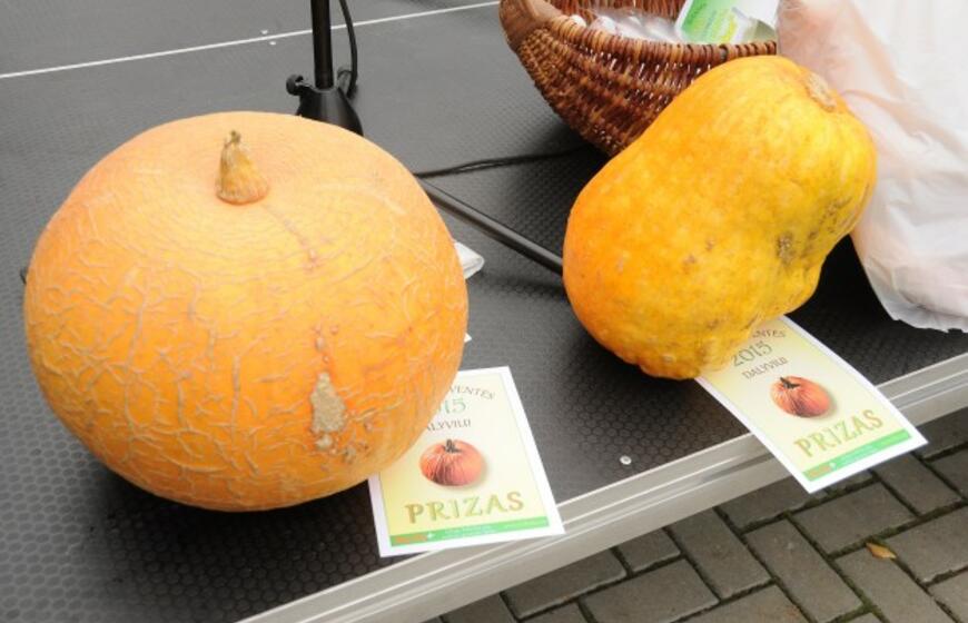 Palangoje vyko šeštoji Turgaus šventė