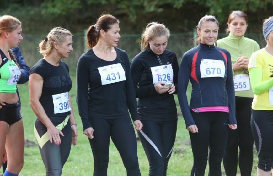 Gintarinė jūrmylė