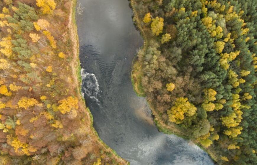 Karolio Janulio fotografijos