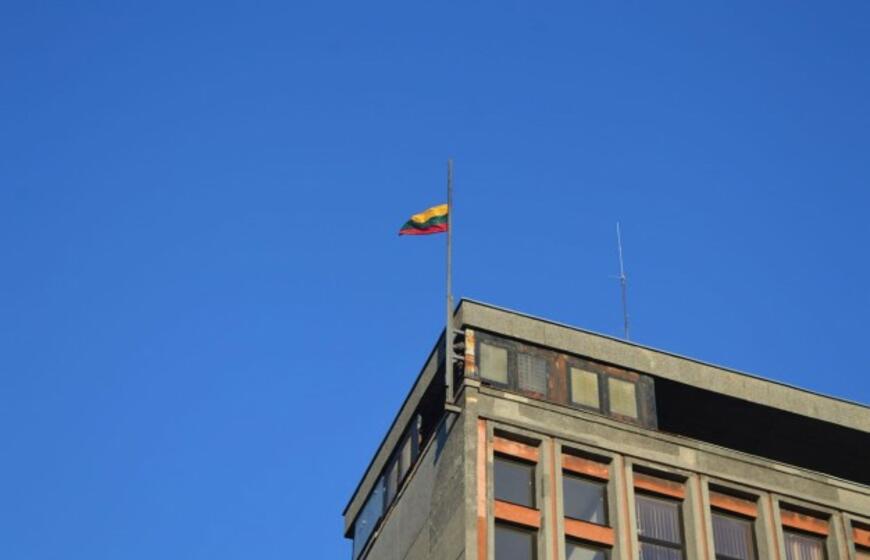 Vėliavos pakėlimo ceremonija