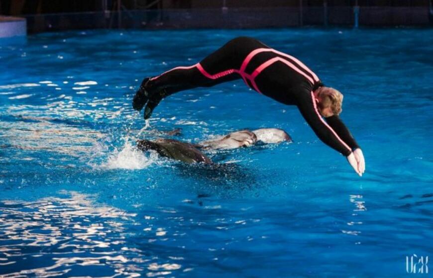 Klaipėdos delfinariume -  "Delfinai ir žvaigždės"