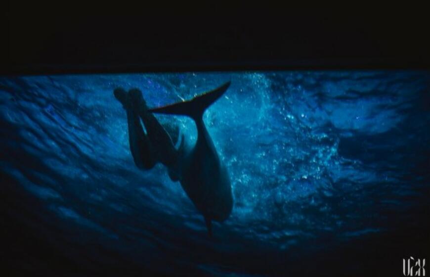 "Delfinai ir žvaigždės": jausmų tema