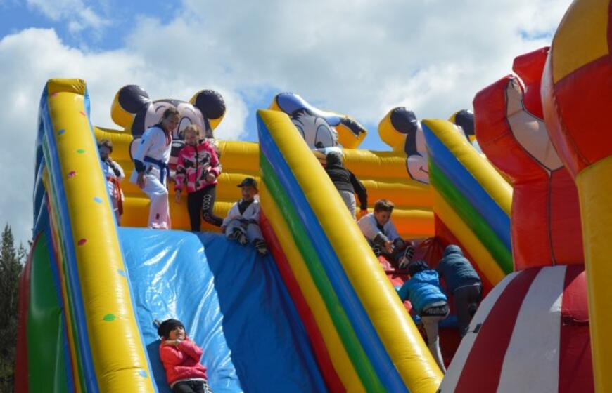 Lėktuvų kilimo ir tūpimo take – karatistų pasirodymas