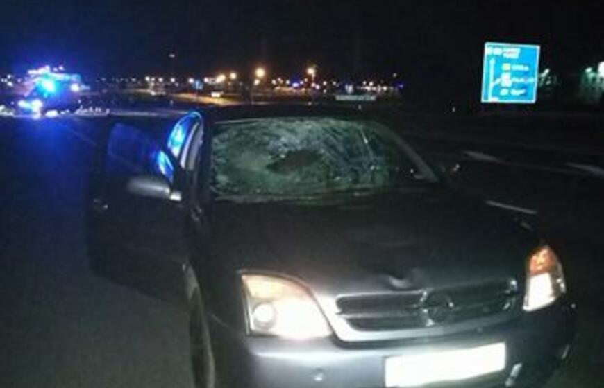 Klaipėdos rajone partrenktas žmogus