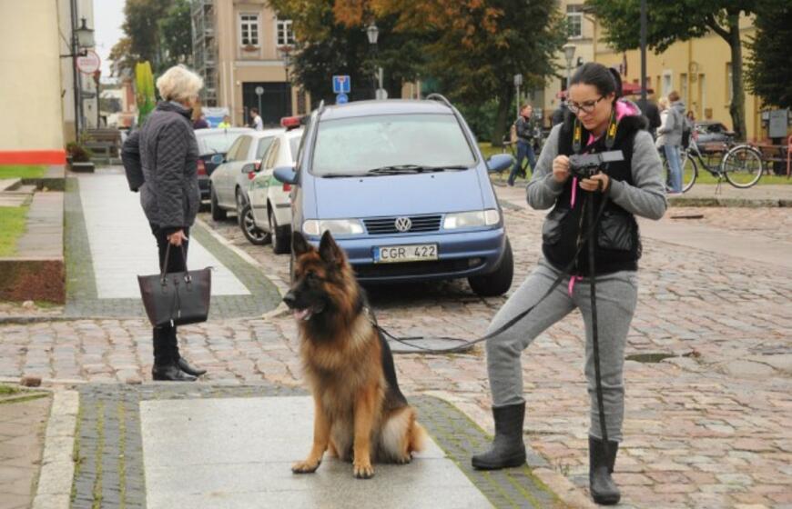 Bėgimas su šunimis Klaipėdoje