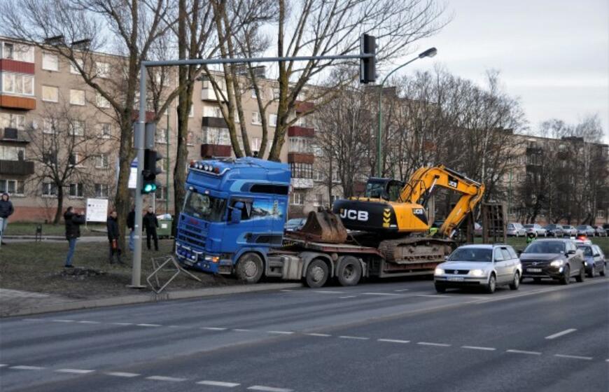 Vilkikas sumaitojo atitvarus