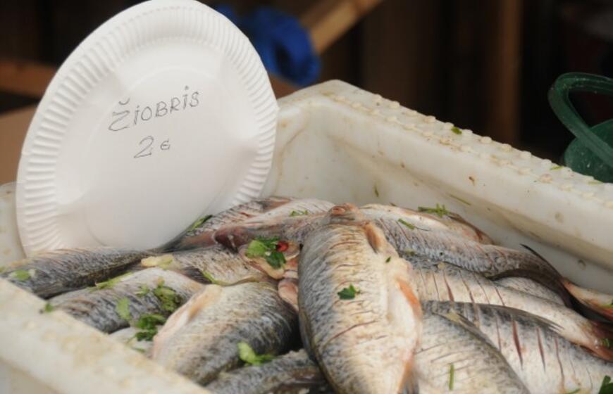 Šventė Nidoje „Žiobrinės 2017"