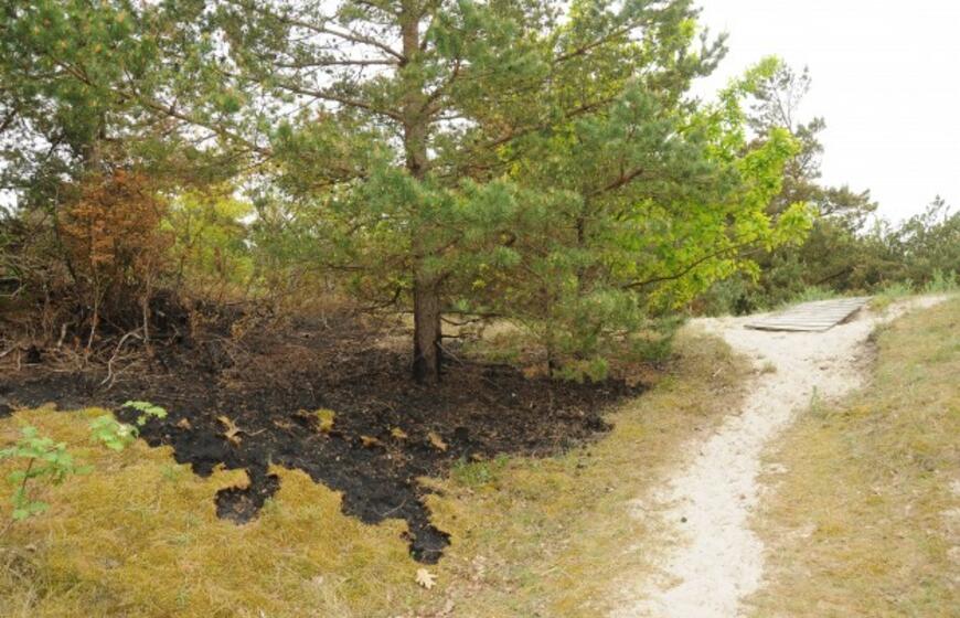 Gaisras prie jūros Melnragėje