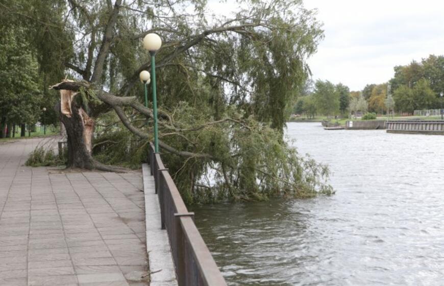 Vėjas pridarė nuostolių