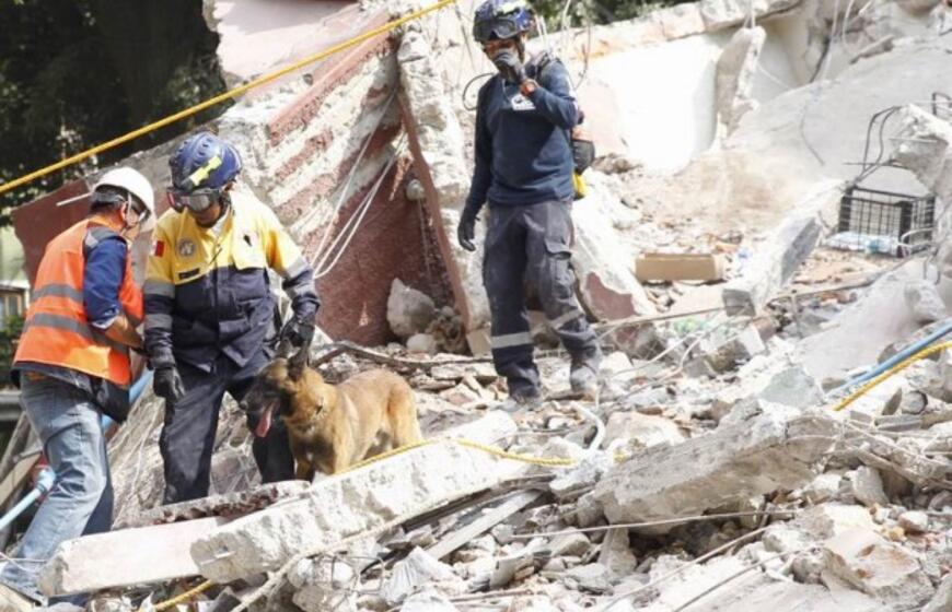 Meksiką supurtė galingas 7,1 balo žemės drebėjimas