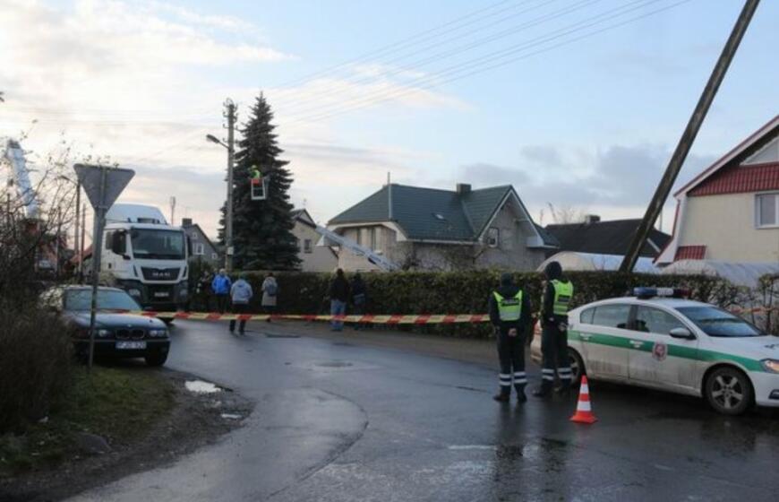 Į Teatro aikštę atkeliauja klaipėdiečių išrinkta eglė