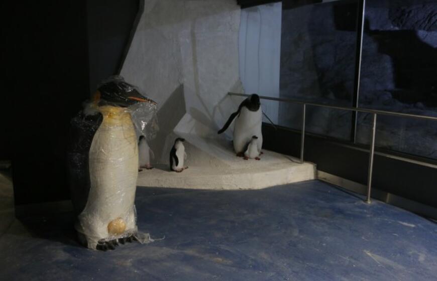 Atsinaujinęs Jūrų muziejus - stebinantis ir svaiginantis