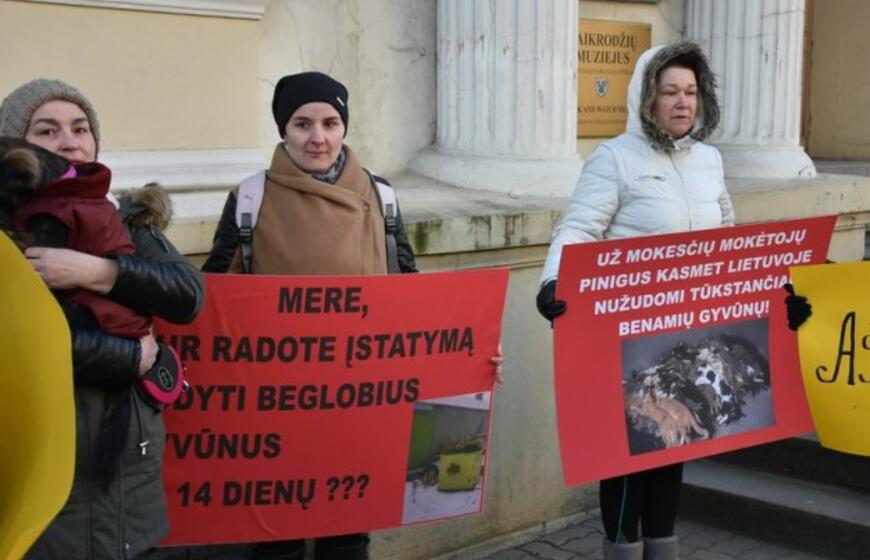 Prie Savivaldybės - gyvūnų mylėtojų protestas