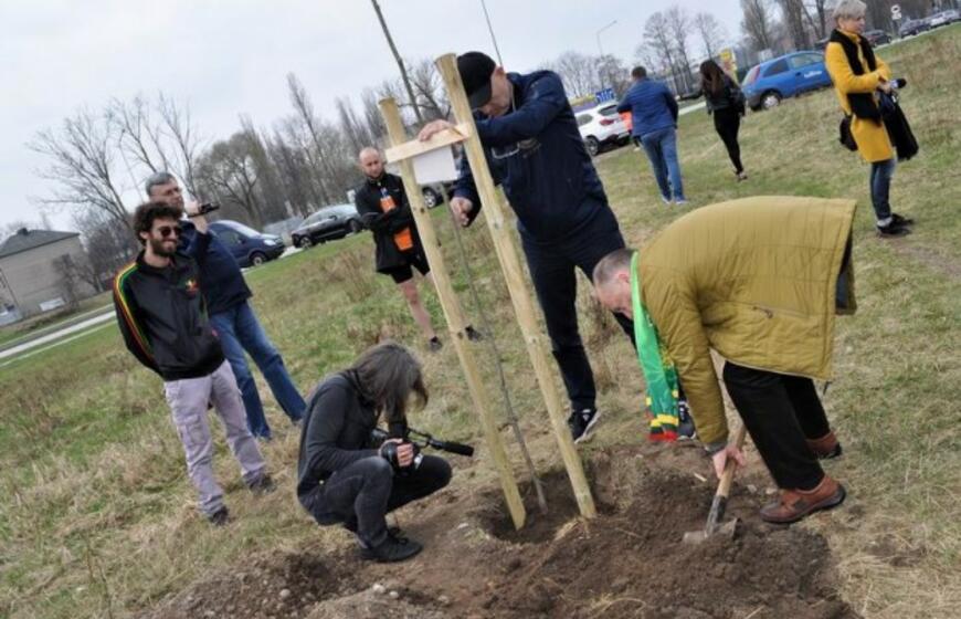 „Šimtmečio giraitė“: ąžuoliukai Klaipėdai