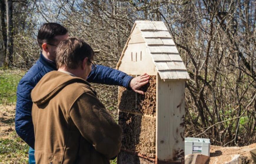 Vaikų pagaminti viešbučiai lauks pirmųjų gyventojų – bičių, vapsvų ir kitų vabzdžių