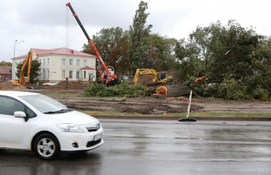 Šimtametis medis paaukotas ant sankryžos kryžiaus