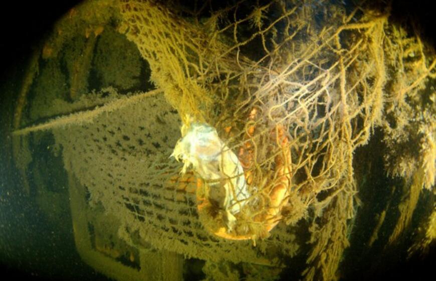 Narai nori atkreipti dėmesį į problemas po vandeniu