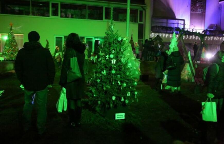 Bibliotekoje sužibo įspūdingos eglutės