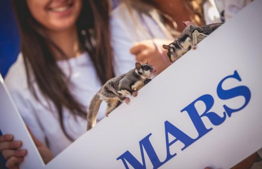 Pasaulinė gyvūnų diena Gargžduose