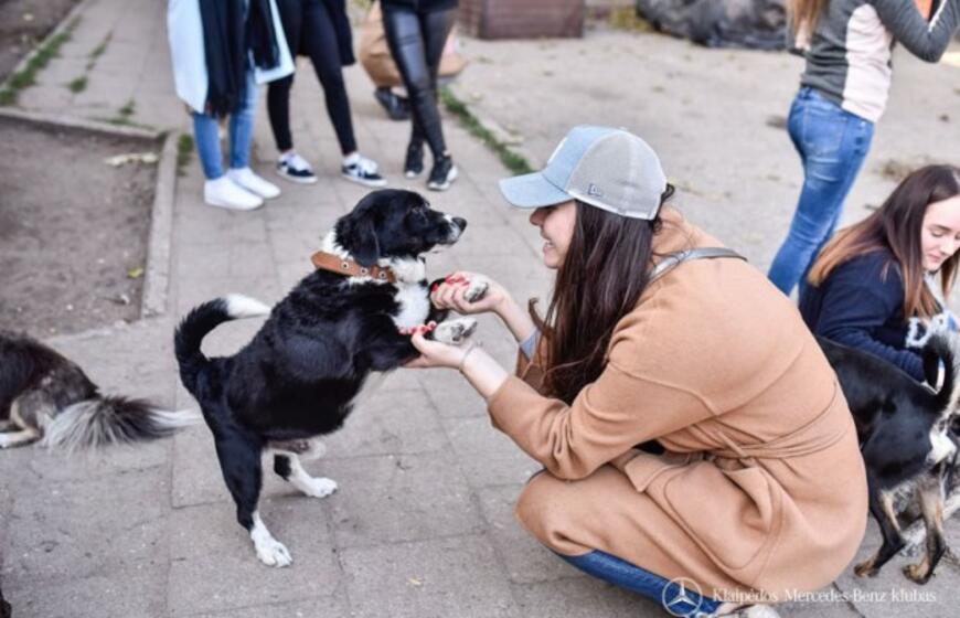 Mersedesų mylėtojai dėmesiu apipylė ir augintinius