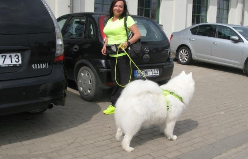 Keturkojų debesėlių sąskrydis