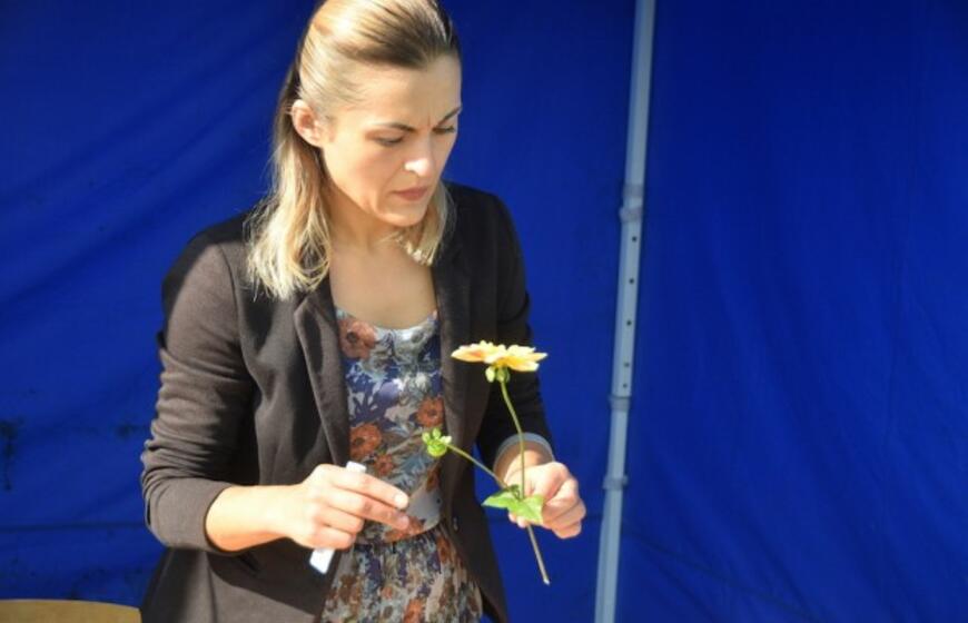 „Kaip gimsta gėlės"