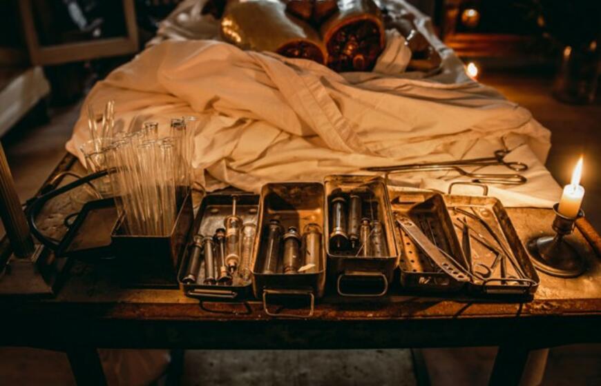 Pakruojo dvare - išskirtinis panoptikumas