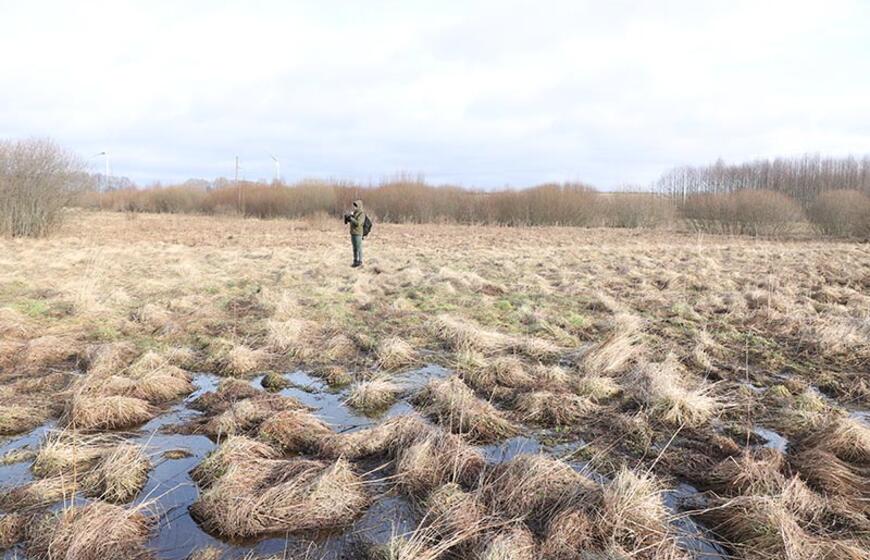 Sūdėnų kūlgrinda