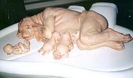 Senas idėjas atrajojantis pasaulio menas Venecijoje 