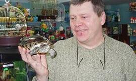 Te ošia jūra tavo namuose... 