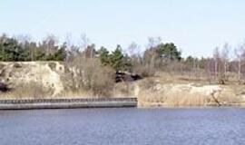 Kadetų mokyklos steigimo idėja įgauna pagreitį 