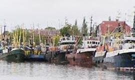 Kuro kolonėlė Žvejų uostelyje - dar vienas aistrų objektas 