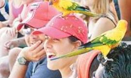 Ispanai - paslaugūs, bet tik rytoj