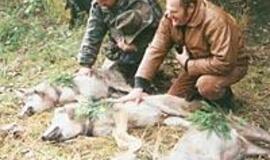 Kovoje dėl žvėringų girių įstatymai nebegalioja 