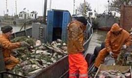 Europos milijonai didina Lietuvos žvejų nesantaiką 