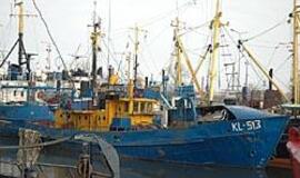 SOS - nuosprendį paskelbė savi: pagailėjo pusės tonos menkių 