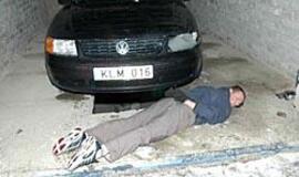 Europa tobulina kovą su automobilių vagystėmis 