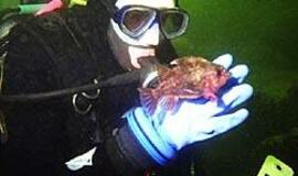 Jūrinių pramogų verslui trukdo biurokratija 